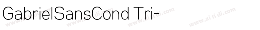 GabrielSansCond Tri字体转换